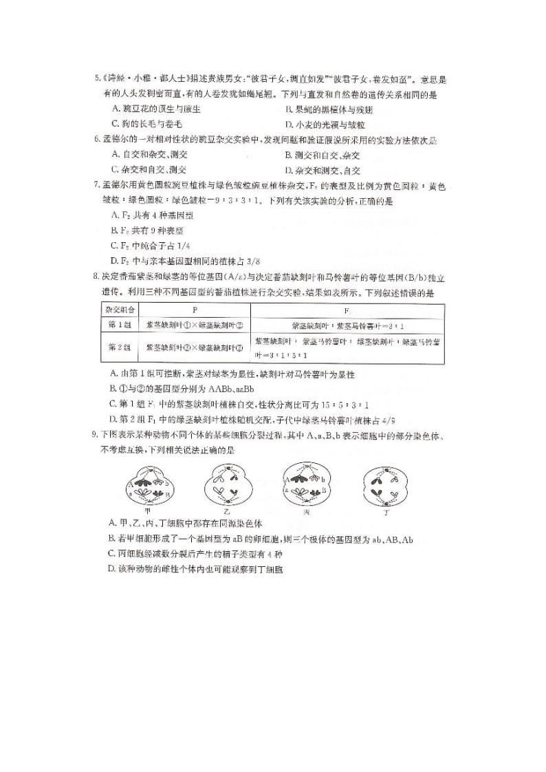 生物-湖南省2023-2024学年高一下学期三月联考生物试题02