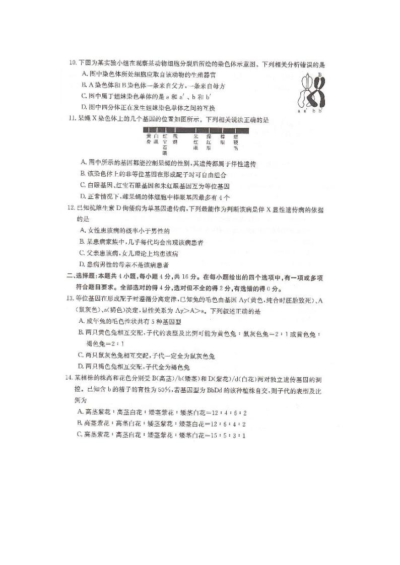 生物-湖南省2023-2024学年高一下学期三月联考生物试题03