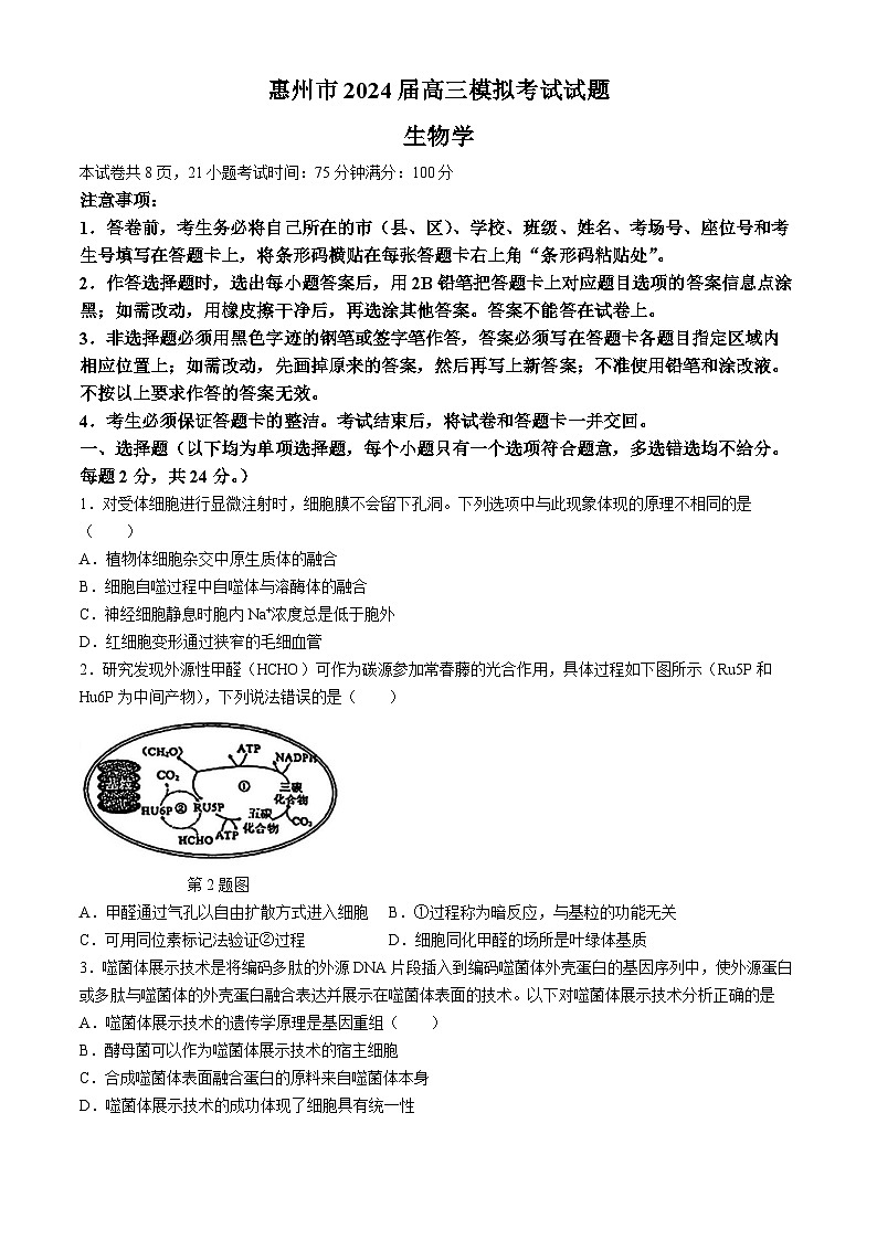 广东省惠州市2024届高三下学期4月一模生物试题（Word版附答案）01