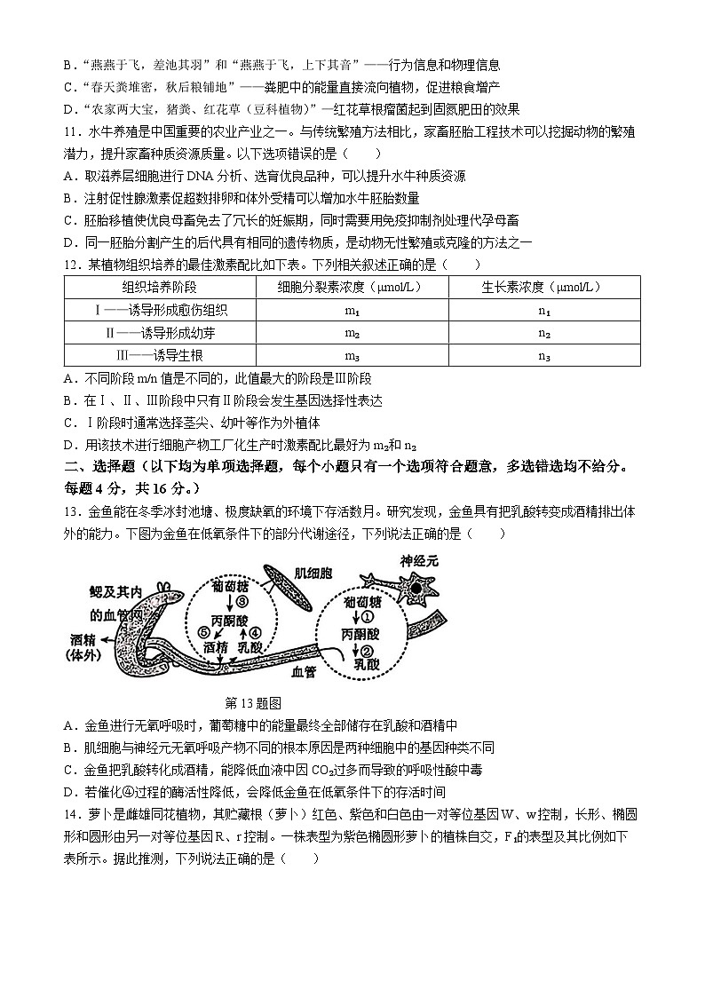 广东省惠州市2024届高三下学期4月一模生物试题（Word版附答案）03