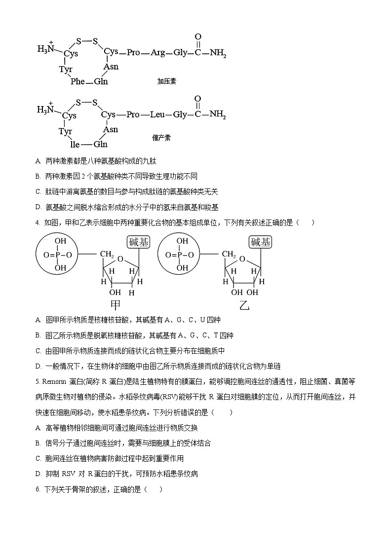 云南三校联考2023-2024学年高一下学期第一次月考生物试卷（Word版附解析）02