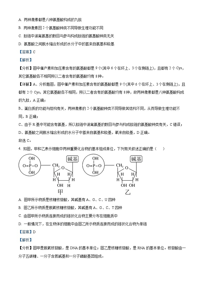 云南三校联考2023-2024学年高一下学期第一次月考生物试卷（Word版附解析）03
