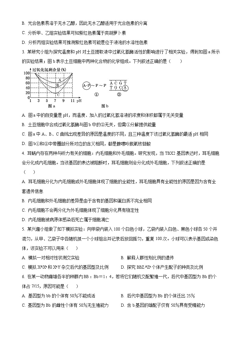 云南省临沧市2023-2024学年高二年级三新教研联合体第二次联考生物试卷 Word版无答案第2页
