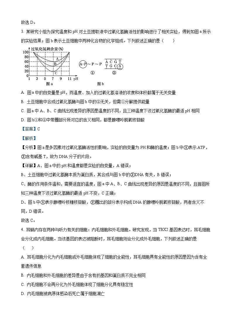 云南省临沧市2023-2024学年高二年级三新教研联合体第二次联考生物试卷 Word版含解析第3页