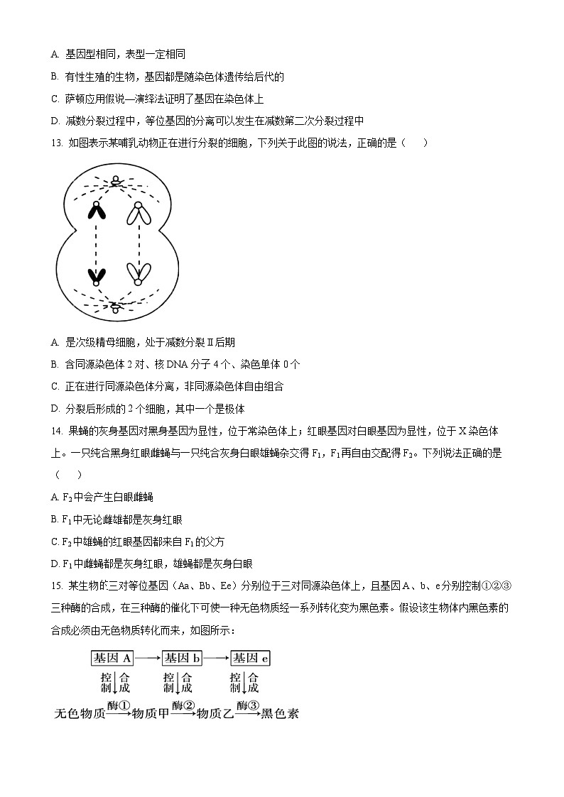 云南省三校2023-2024学年高一下学期4月联考生物试卷（Word版附解析）03