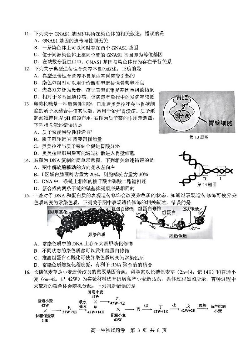 浙江省杭州地区（含周边）重点高中2023-2024学年高一下学期4月期中考试生物试卷（PDF版附答案）03