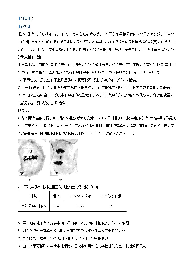 浙江省衢温5+1联盟2023-2024学年高二下学期期中联考生物试题 Word版含解析第3页