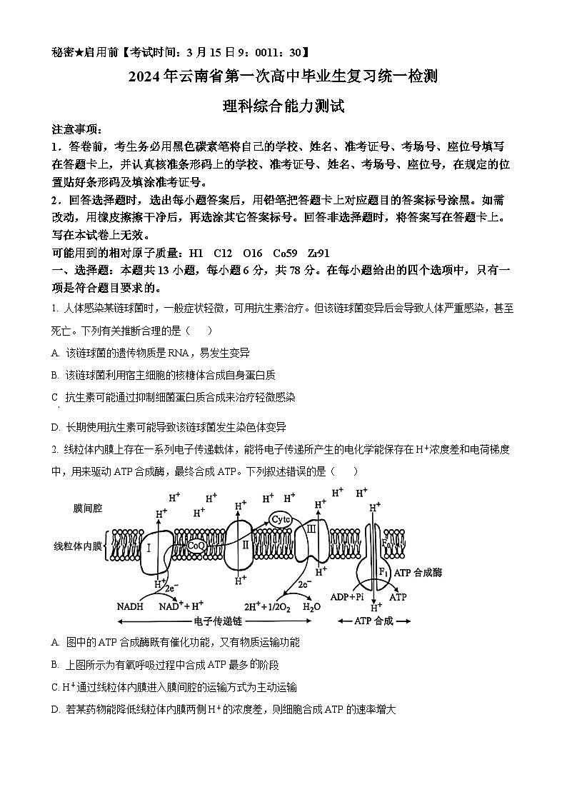 云南省2024届高三下学期一模生物试题 Word版无答案第1页