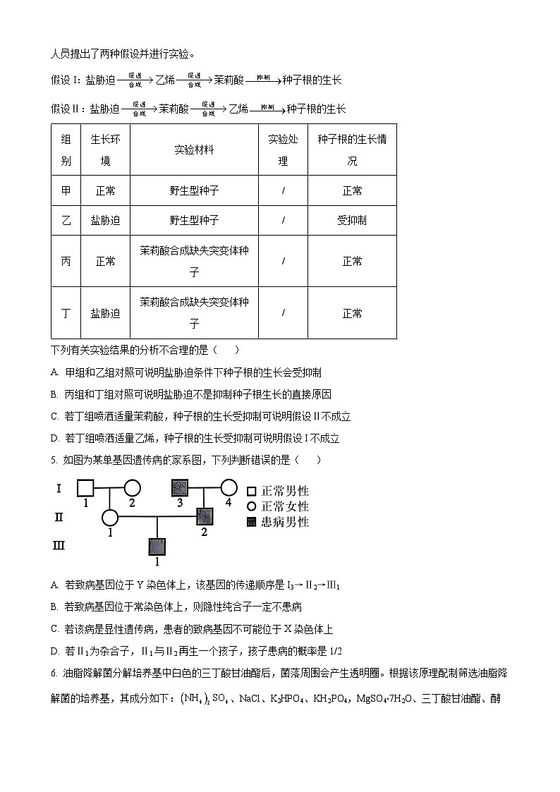 云南省曲靖市罗平第一中学2024届高三下学期二模生物试题（Word版附解析）02