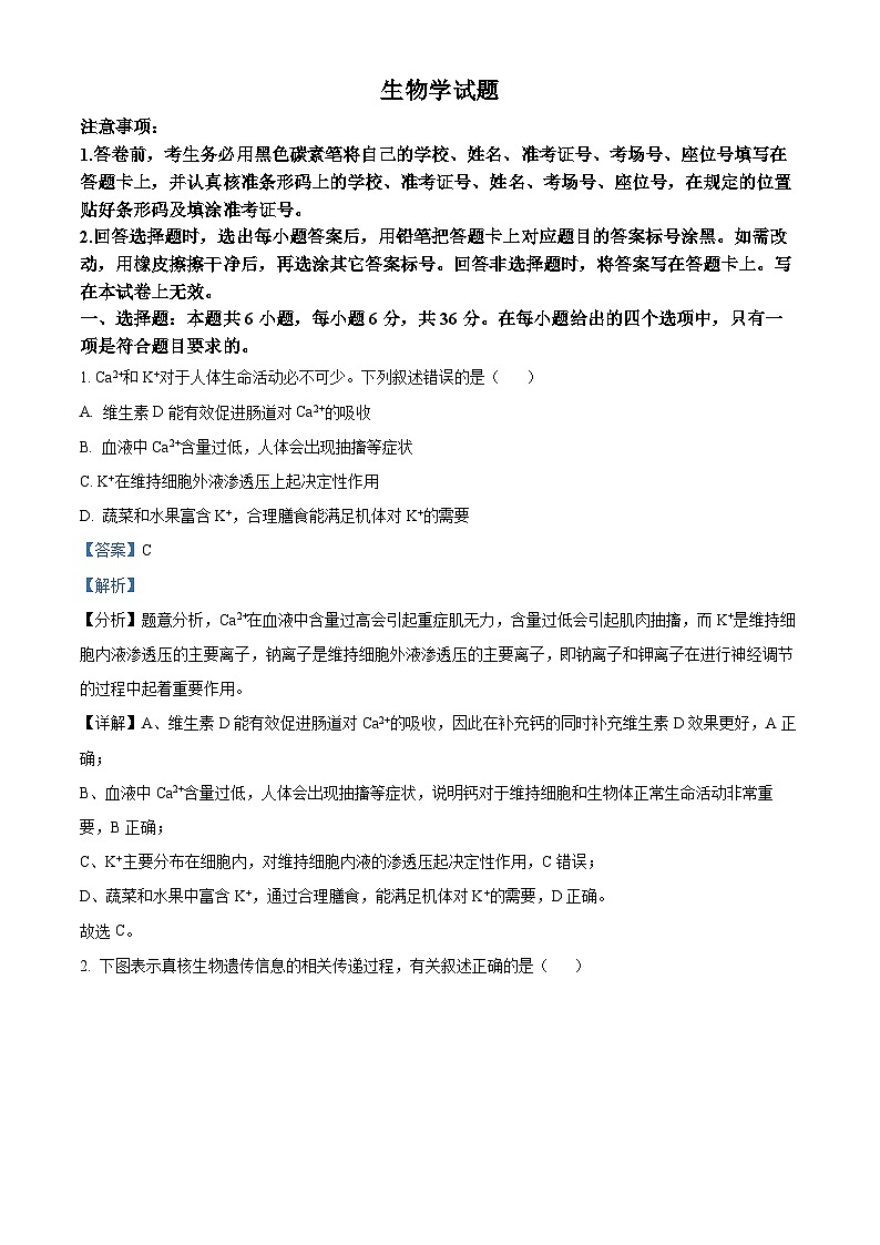 云南省曲靖市罗平第一中学2024届高三下学期二模生物试题（Word版附解析）01