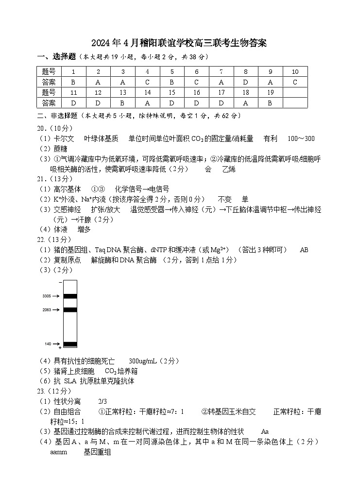 浙江省稽阳联谊学校2024届高三下学期4月联考（二模）生物试卷（扫描版附答案）01