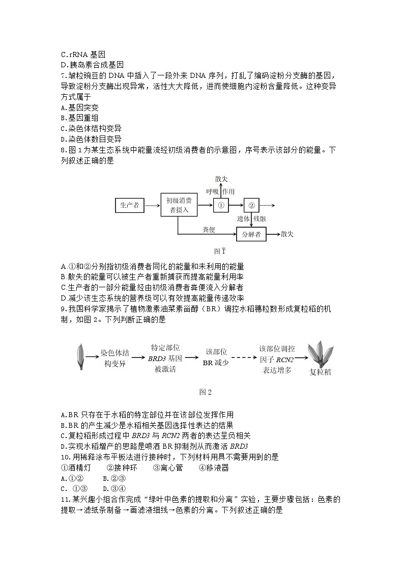 2024年深圳市高三年级第二次调研考试生物试题+答案（深圳二模）02