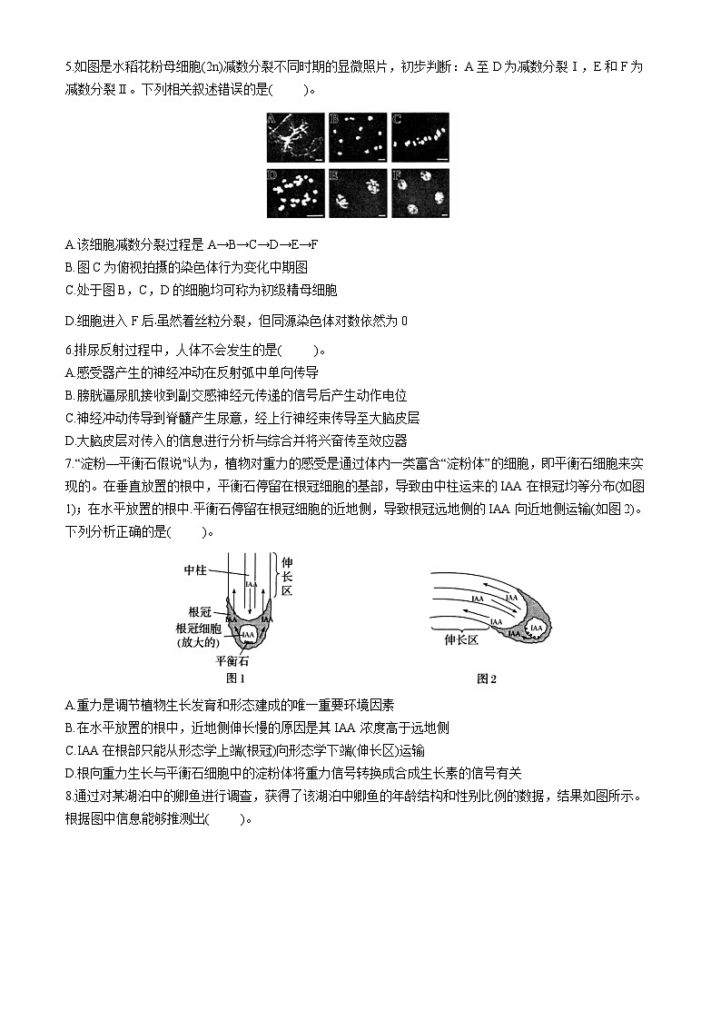2024天津市九校高三下学期联合模拟考试（一）生物含答案第2页