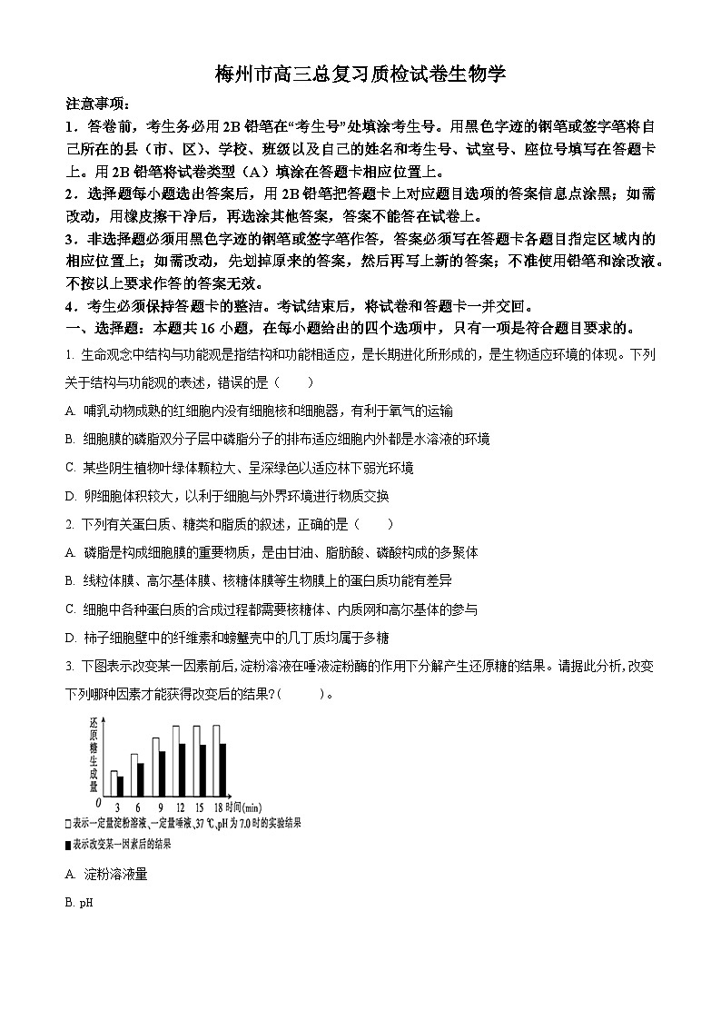 2024梅州高三下学期4月二模试题生物含解析01