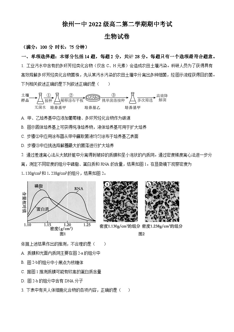 2024徐州一中高二下学期4月期中考试生物含解析第1页