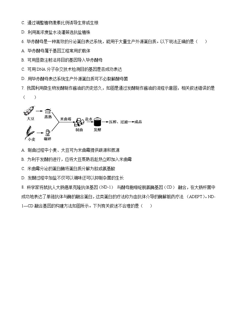 2024徐州一中高二下学期4月期中考试生物含解析第3页