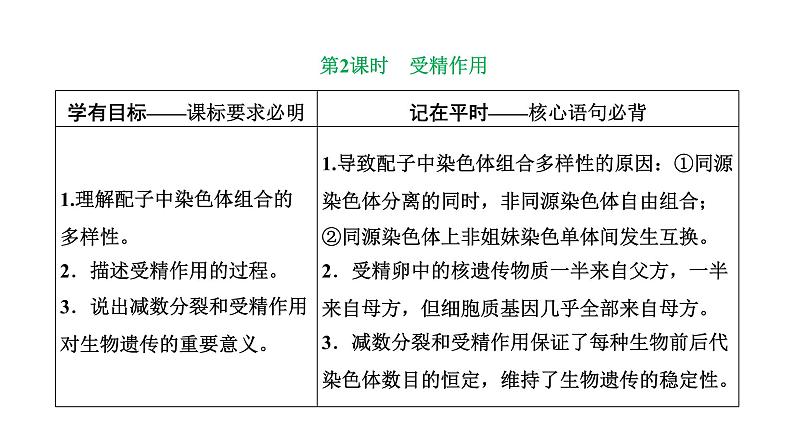 人教版高中生物必修2第2章基因和染色体的关系第1节减数分裂和受精作用第2课时受精作用课件01