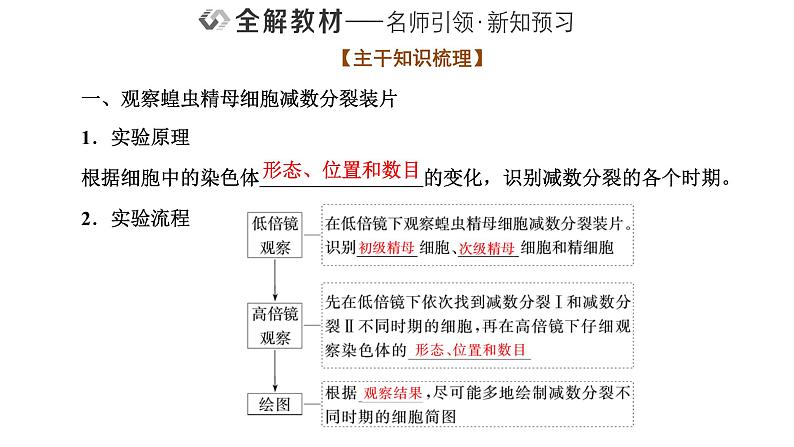 人教版高中生物必修2第2章基因和染色体的关系第1节减数分裂和受精作用第2课时受精作用课件02