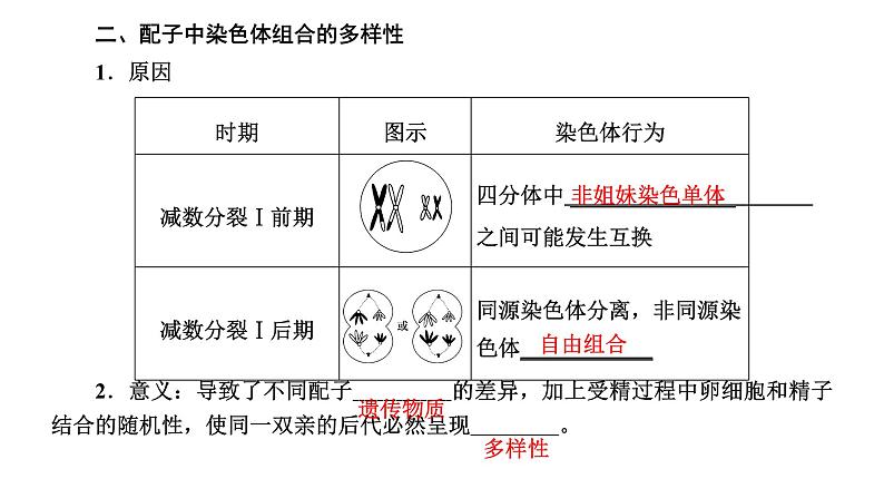 人教版高中生物必修2第2章基因和染色体的关系第1节减数分裂和受精作用第2课时受精作用课件03