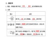 人教版高中生物必修2第2章基因和染色体的关系第1节减数分裂和受精作用第2课时受精作用课件