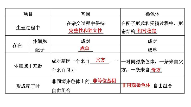 人教版高中生物必修2第2章基因和染色体的关系第2节基因在染色体上课件第3页