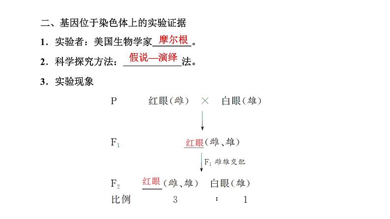 人教版高中生物必修2第2章基因和染色体的关系第2节基因在染色体上课件第4页