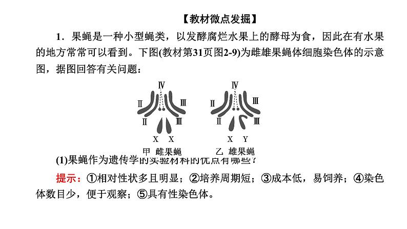 人教版高中生物必修2第2章基因和染色体的关系第2节基因在染色体上课件第7页