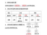 人教版高中生物必修2第2章基因和染色体的关系第3节伴性遗传课件