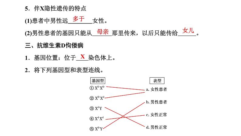 人教版高中生物必修2第2章基因和染色体的关系第3节伴性遗传课件第5页