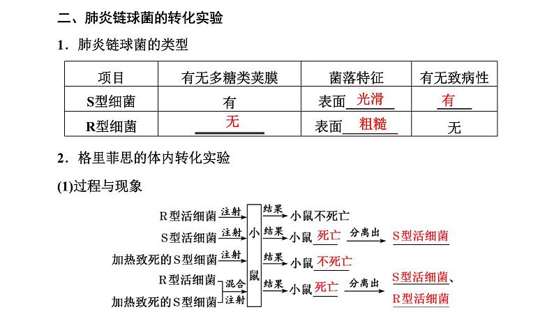人教版高中生物必修2第3章基因的本质第1节DNA是主要的遗传物质课件第6页