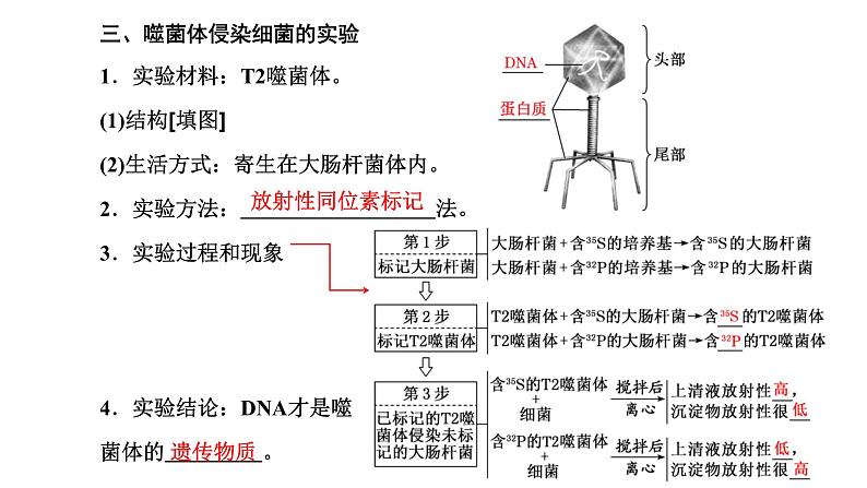 人教版高中生物必修2第3章基因的本质第1节DNA是主要的遗传物质课件第8页
