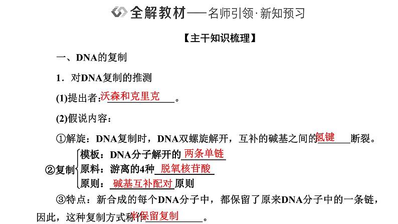 人教版高中生物必修2第3章基因的本质第3、4节DNA的复制、基因通常是有遗传效应的DNA片段课件02