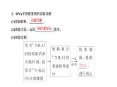 人教版高中生物必修2第3章基因的本质第3、4节DNA的复制、基因通常是有遗传效应的DNA片段课件