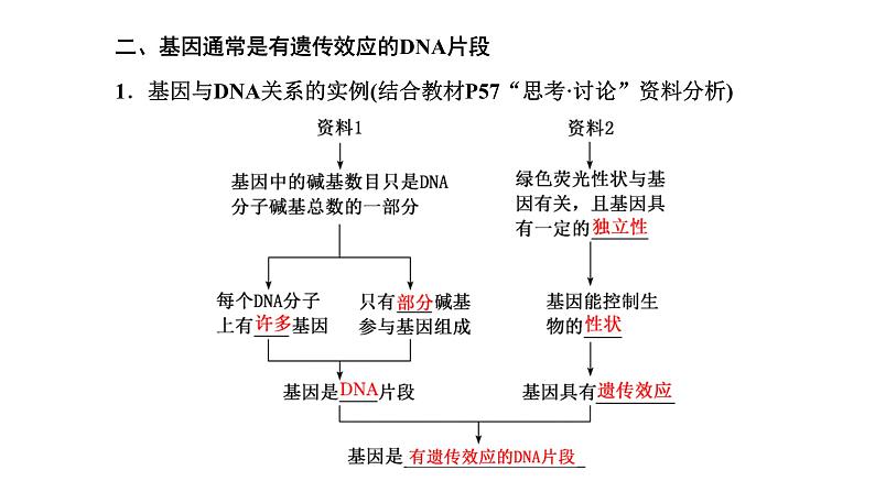 人教版高中生物必修2第3章基因的本质第3、4节DNA的复制、基因通常是有遗传效应的DNA片段课件08