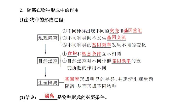 人教版高中生物必修2第6章生物的进化第3节种群基因组成的变化与物种的形成课件第7页