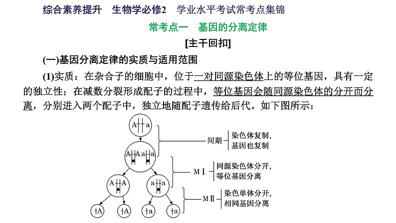 人教版高中生物必修2学业水平考试常考点集锦课件01