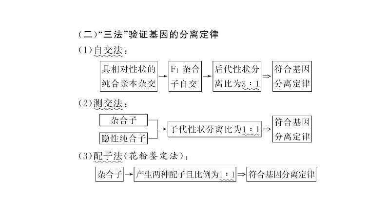 人教版高中生物必修2学业水平考试常考点集锦课件03