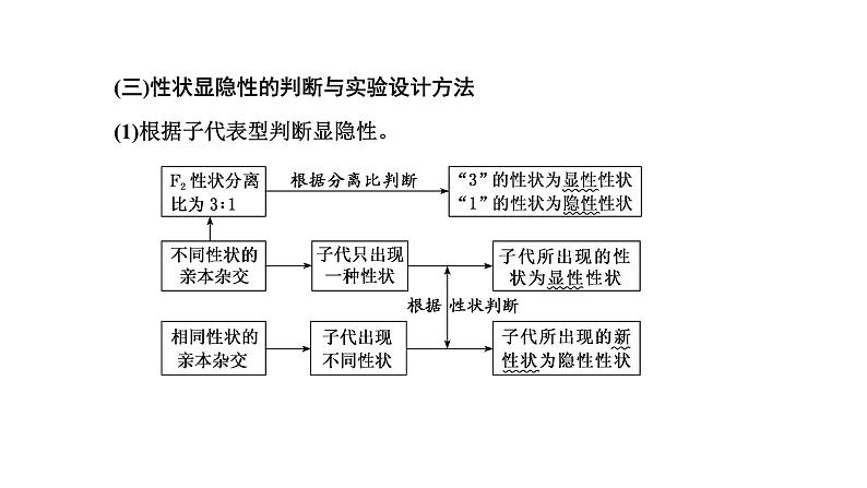 人教版高中生物必修2学业水平考试常考点集锦课件04