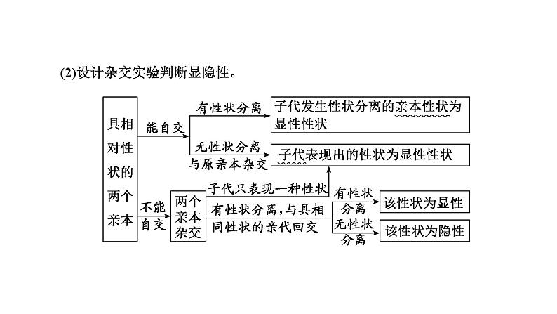 人教版高中生物必修2学业水平考试常考点集锦课件05