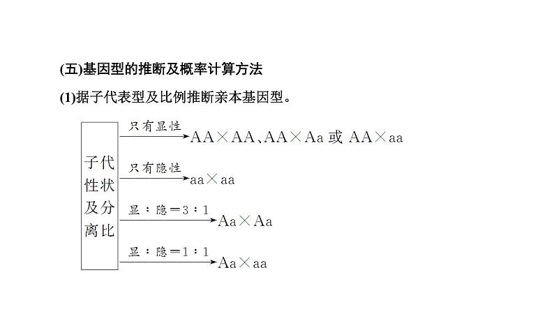 人教版高中生物必修2学业水平考试常考点集锦课件07