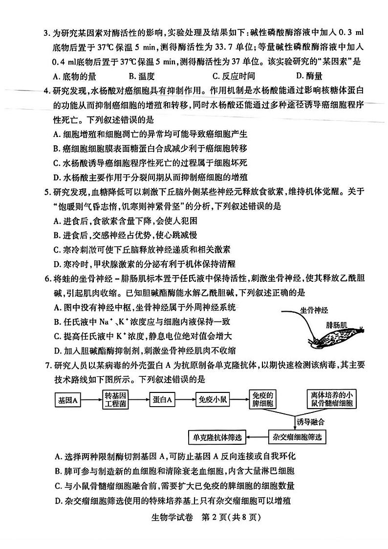2024届湖北省武汉市高中毕业生四月调研考试生物试卷（无答案）02