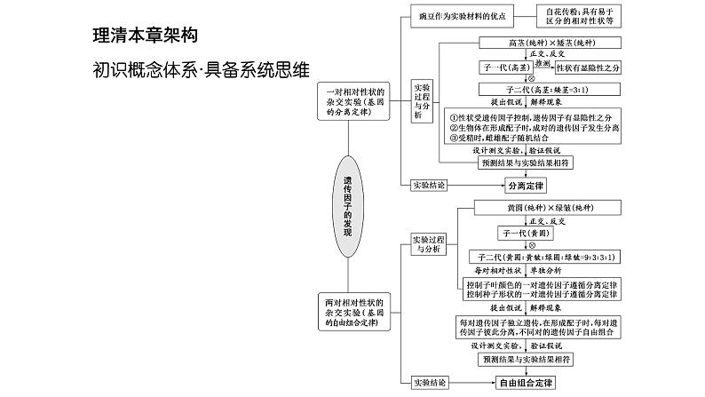 人教版高中生物必修2第1章遗传因子的发现第1节孟德尔的豌豆杂交实验(一)第1课时分离定律的发现课件第2页