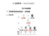 人教版高中生物必修2第1章遗传因子的发现第2节孟德尔的豌豆杂交实验(二)第1课时自由组合定律的发现课件