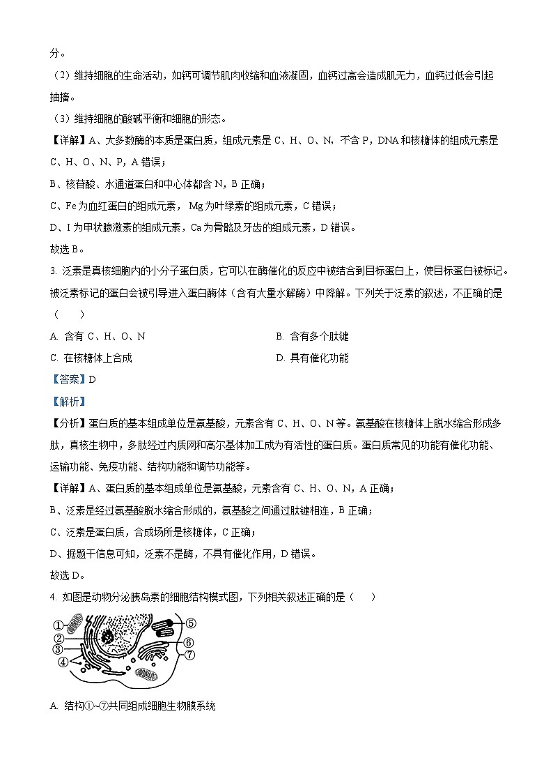云南省大理市白族自治州民族中学2023-2024学年高一下学期4月月考生物试题 Word版含解析第2页