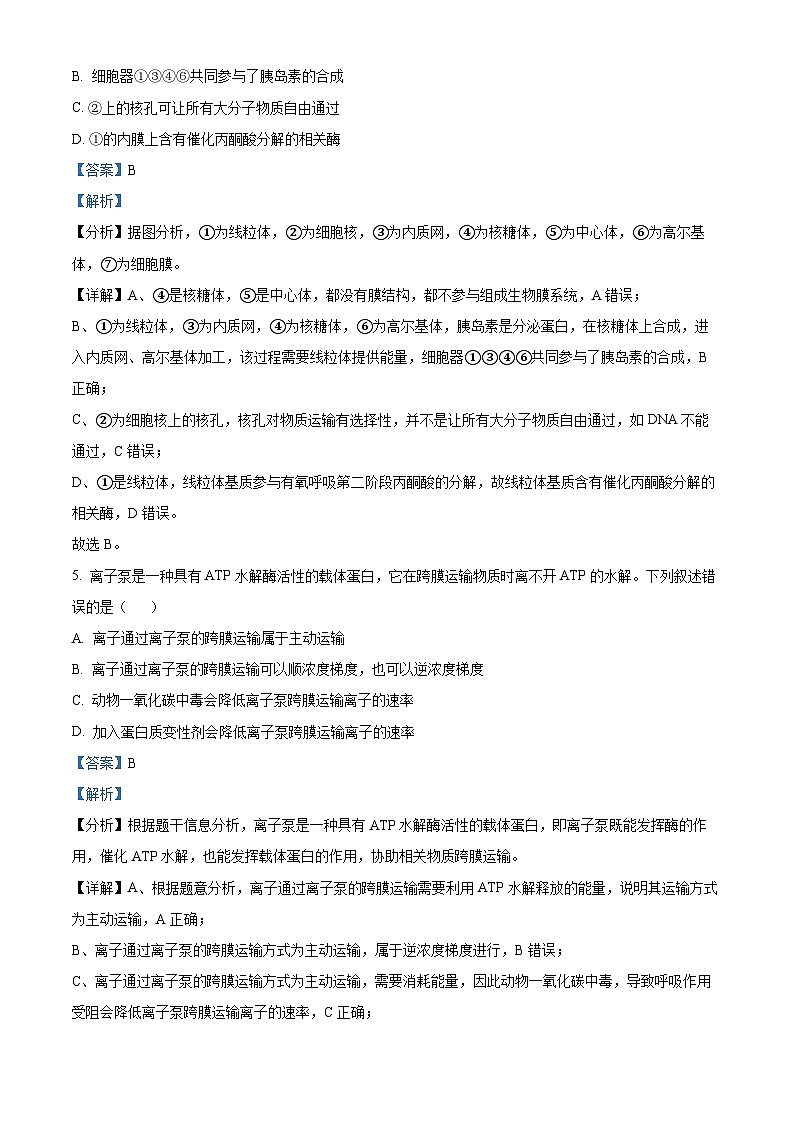 云南省大理市白族自治州民族中学2023-2024学年高一下学期4月月考生物试题 Word版含解析第3页