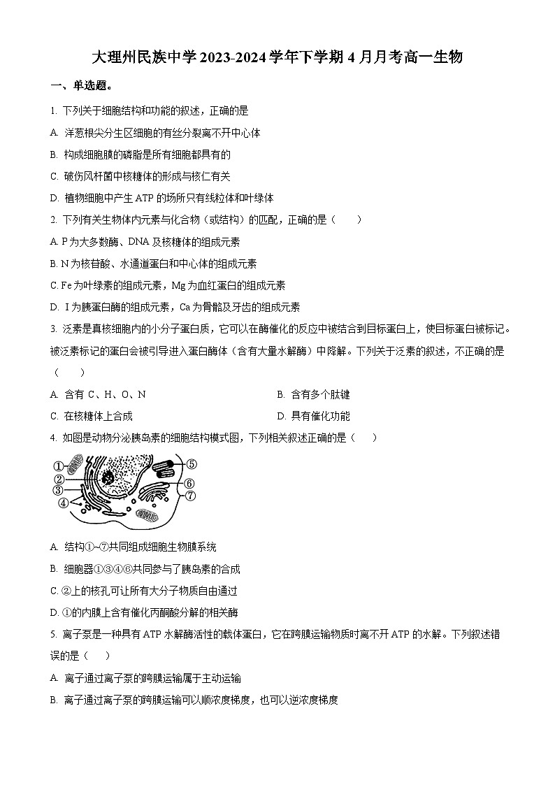 云南省大理市白族自治州民族中学2023-2024学年高一下学期4月月考生物试题 Word版无答案第1页