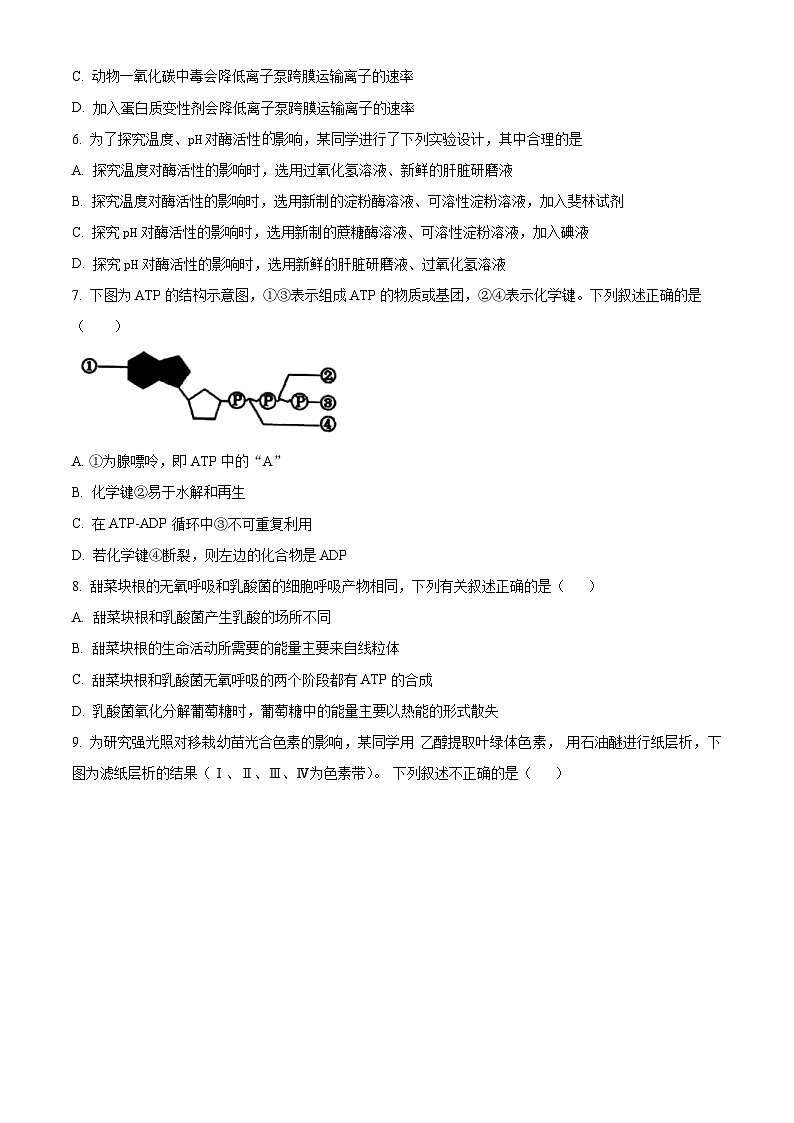 云南省大理市白族自治州民族中学2023-2024学年高一下学期4月月考生物试题 Word版无答案第2页