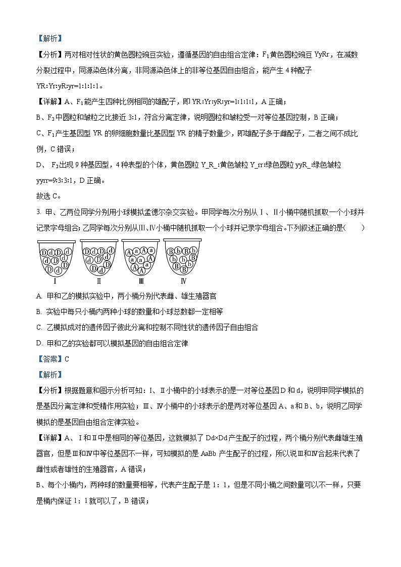 云南省红河哈尼族彝族自治州蒙自市第一中学2023-2024学年高一下学期4月月考生物试题 Word版含解析第2页