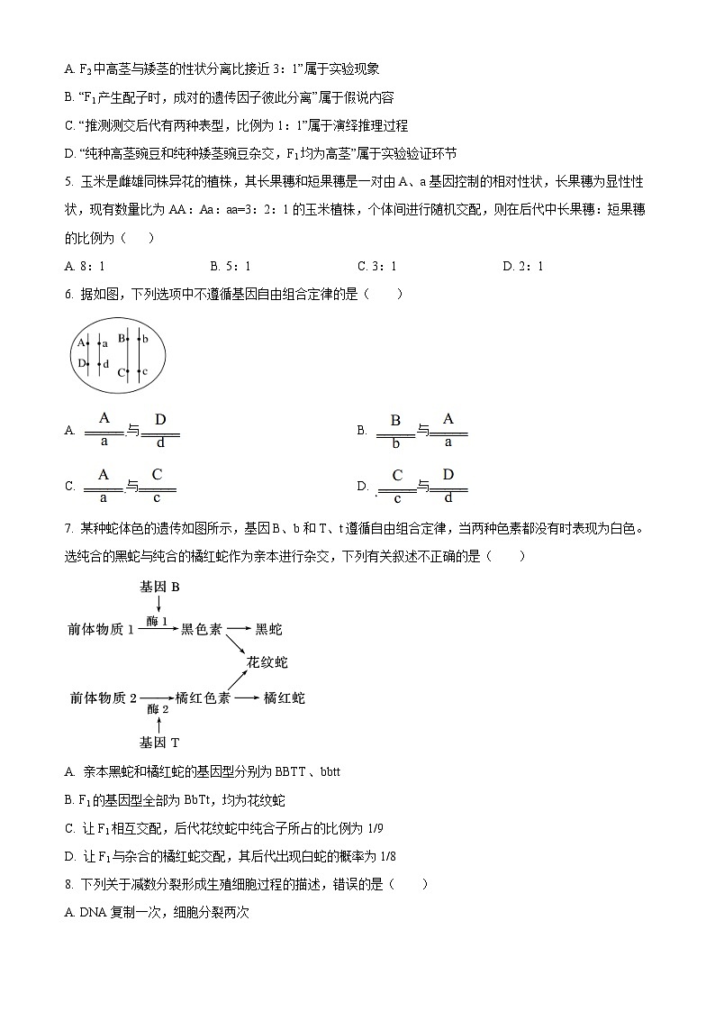 云南省红河哈尼族彝族自治州蒙自市第一中学2023-2024学年高一下学期4月月考生物试题 Word版无答案第2页