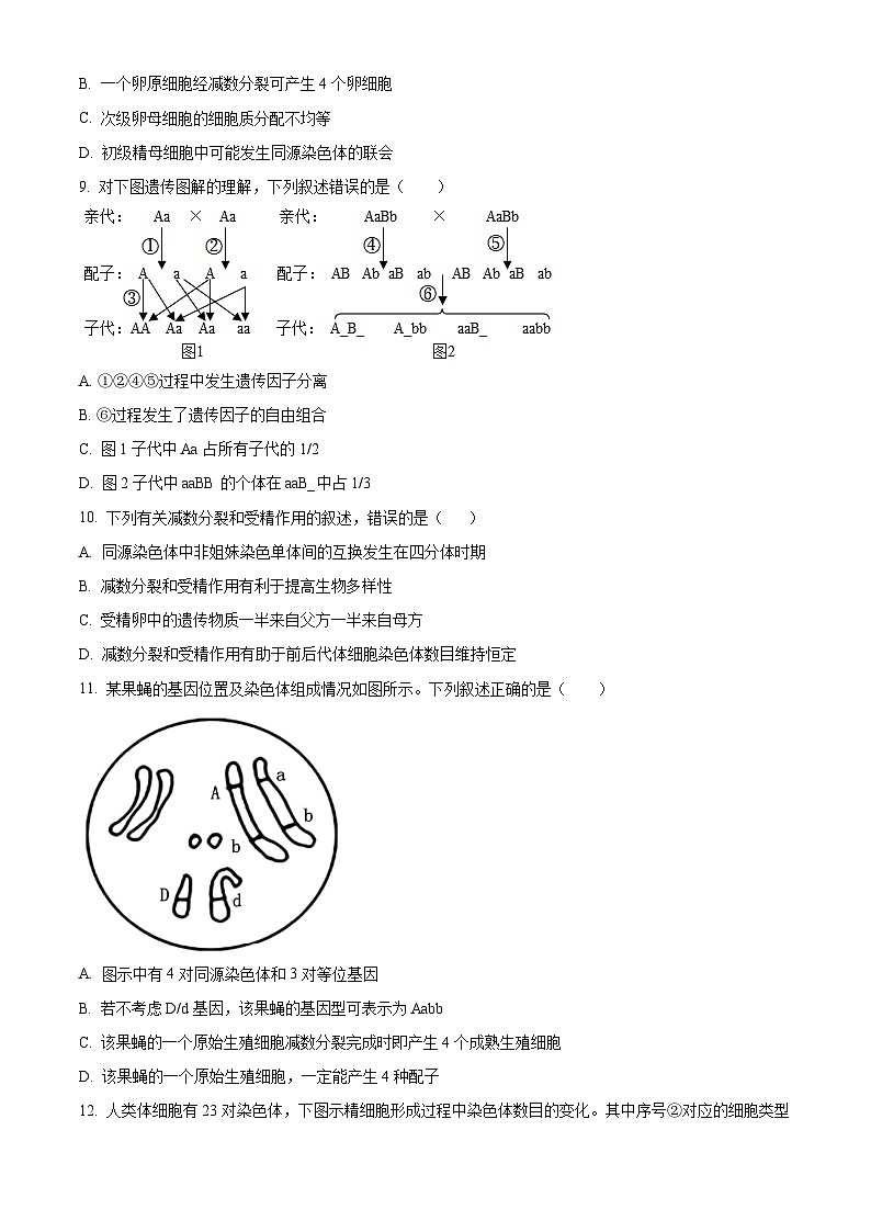 云南省红河哈尼族彝族自治州蒙自市第一中学2023-2024学年高一下学期4月月考生物试题 Word版无答案第3页